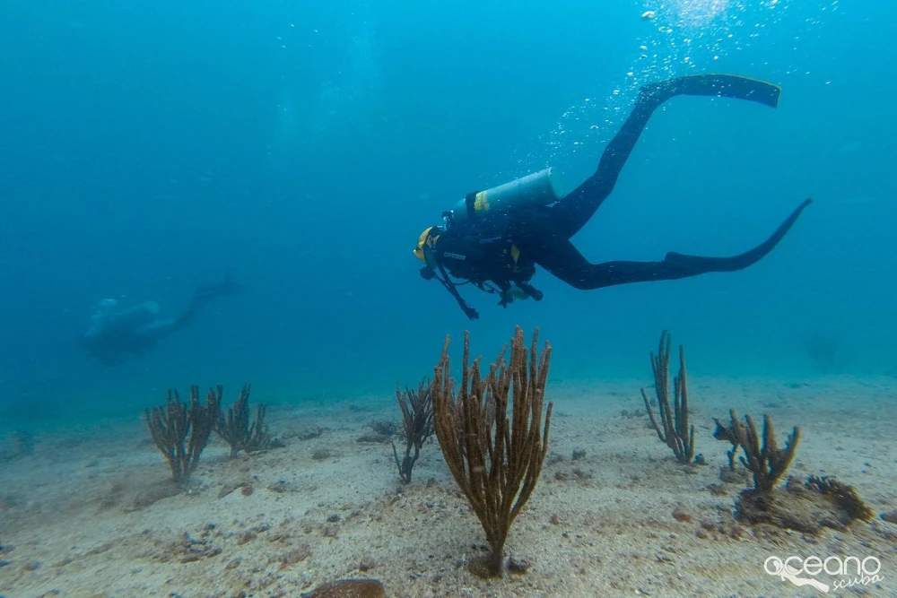 Oceano Scuba Dive Center
