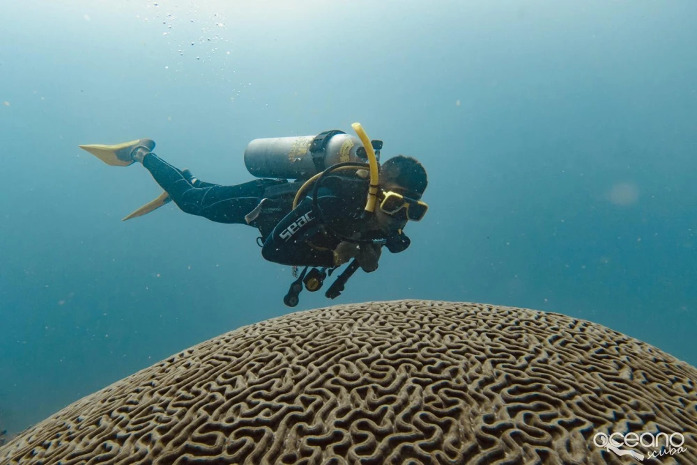 Oceano Scuba Dive Center