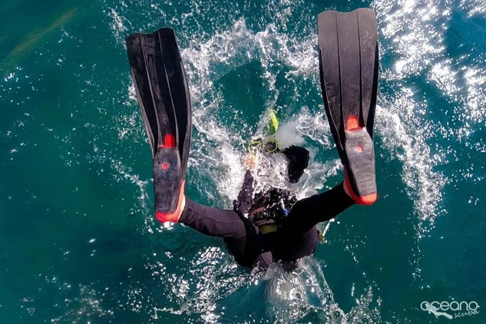 Oceano Scuba Dive Center