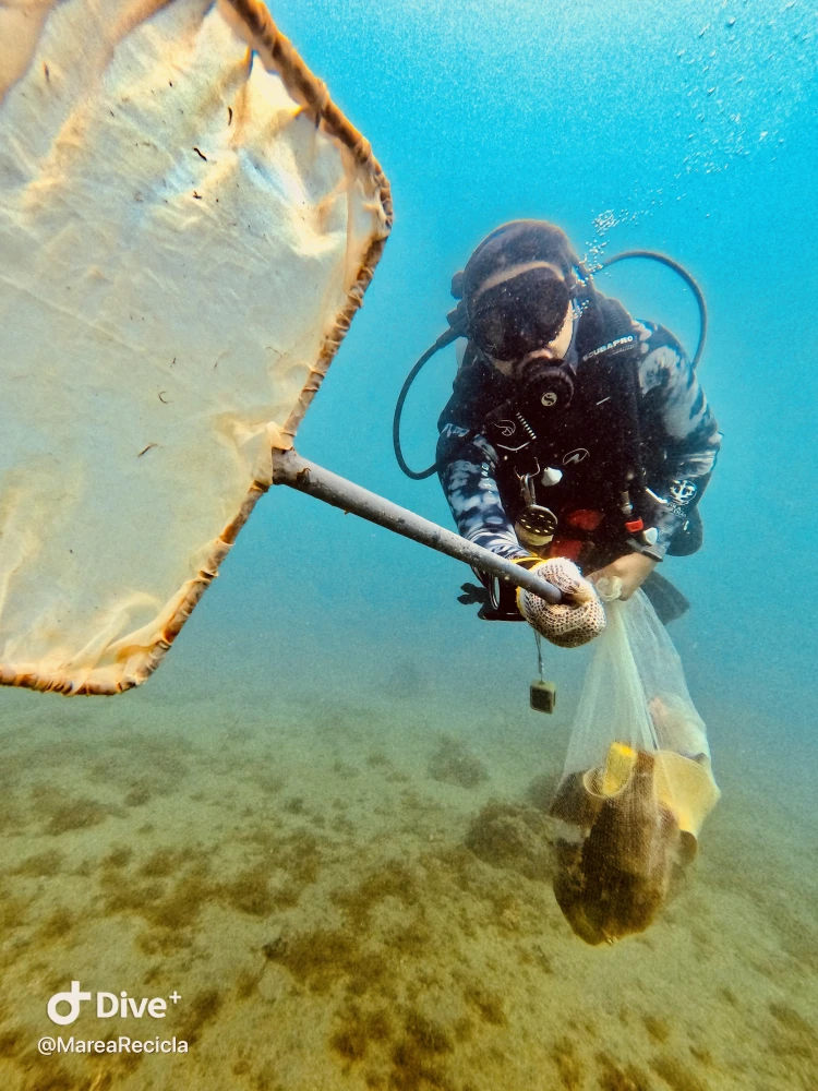 PROYECTO MAREA RECICLA