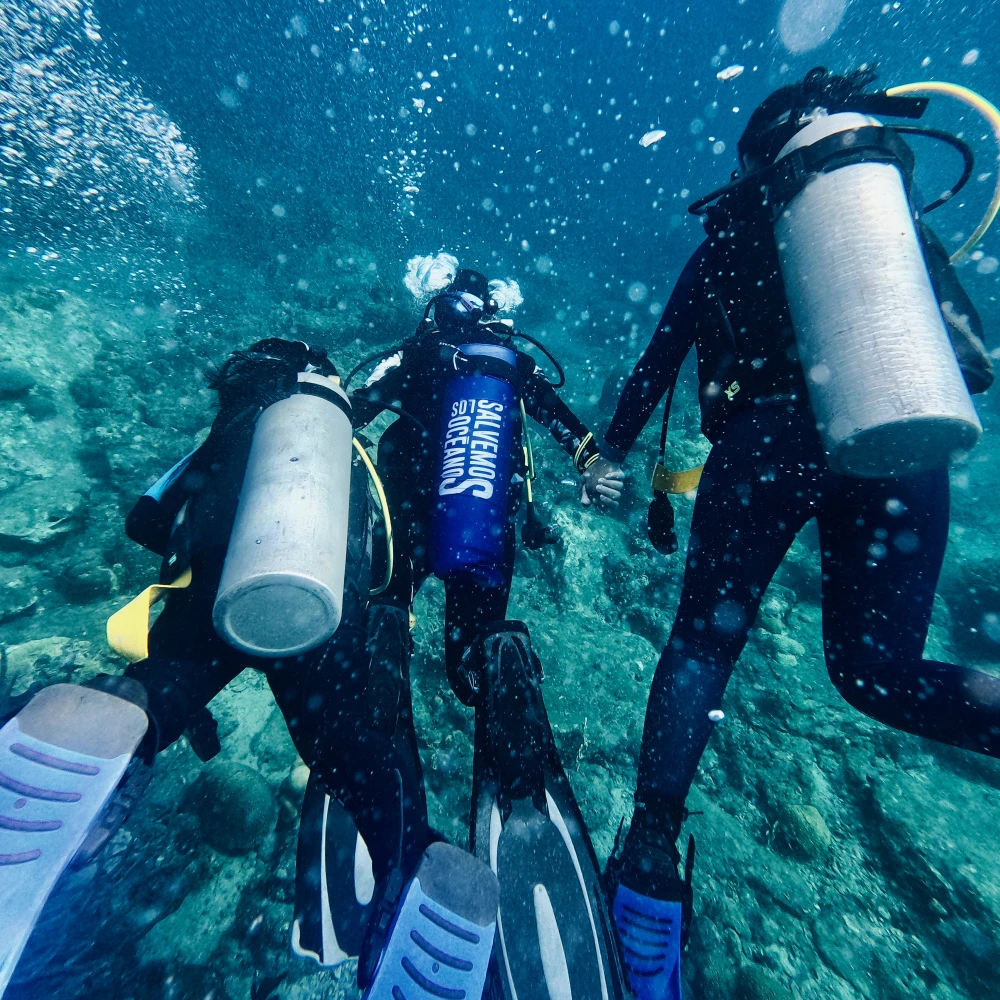 Buceo con Proposito - Mini curso de buceo