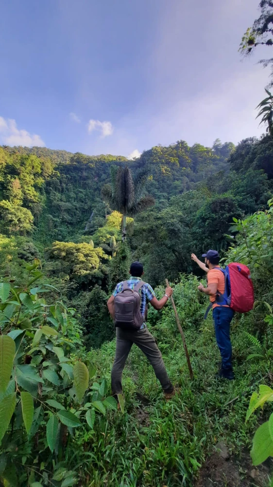 Trekking Santa Marta