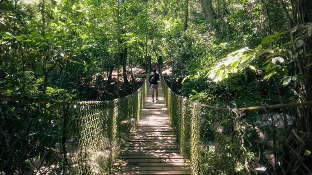 Minca Santa Marta: Unveiling Colombia's Ecological Capital
