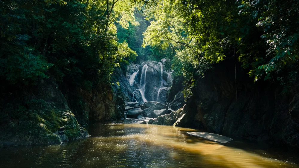 Minca Santa Marta: Unveiling Colombia's Ecological Capital