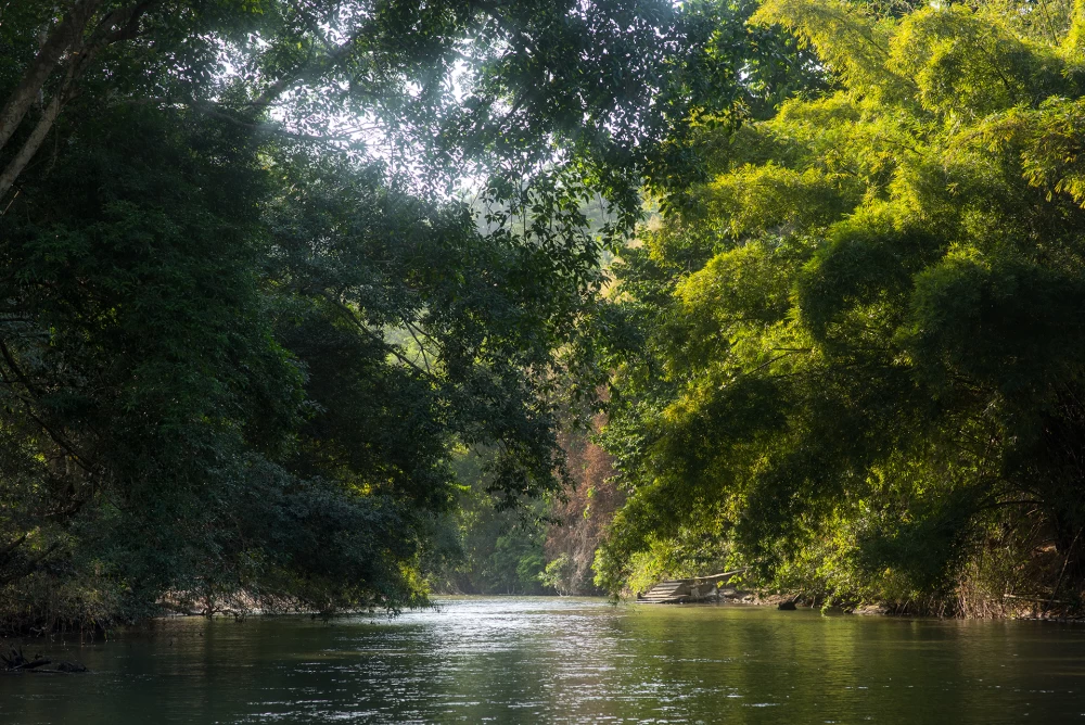 Don Diego River, Santa Marta Colombia