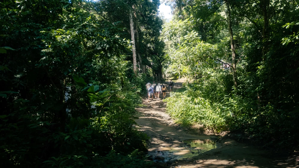 Paso del Mango Bonda, Santa Marta