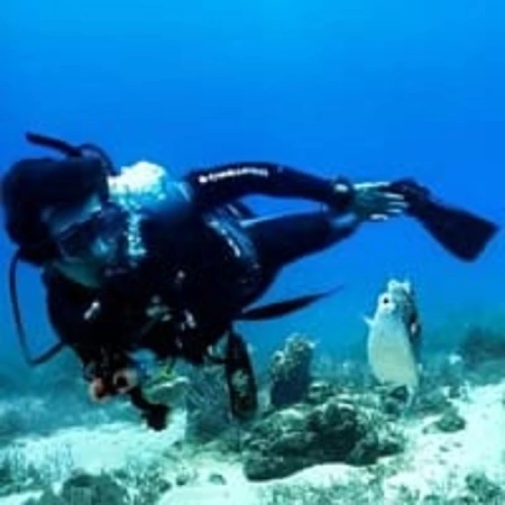 Discover Scuba Diving